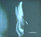 Tom Odell - A Wonderful Life (CD, Album) image