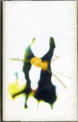 Niamh Parsons And The Loose Connections - Loosen Up (Cass)
