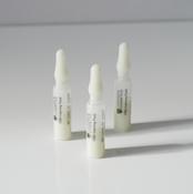 Chill CBD Calming Fluid