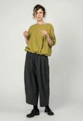 Apuntob Short Sleeve Top in Pistashio