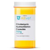 Dog antibiotics tractor supply discount