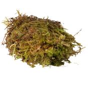 Habistat Sphagnum Moss - 1kg bag