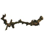 Grapevine "Dark"