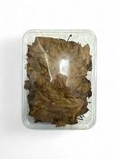 Raw Oak Leaves - 500ml pack