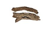 Cork bark