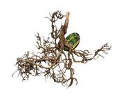 Desert Bush - natural image