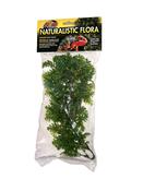 Natural Bush™ Plants – Amazonian Phyllo image