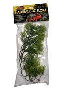 Natural Bush™ Plants – Australian Maple image