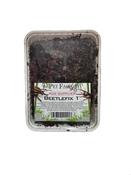 Beetlefix Mix 1L