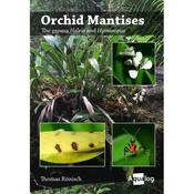 RÖNISCH, T.: Orchid Mantises image