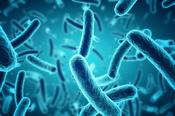 Bacteria in Drinking Water Test | Southern Scientific Ireland image
