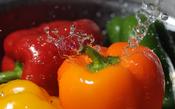 Bord Bia Water Test | Southern Scientific Ireland