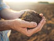 Agricultural Soil Testing | Southern Scientific Ireland