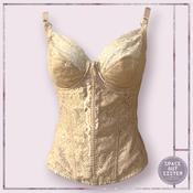 Vintage Champagne Floral Lace Basque image