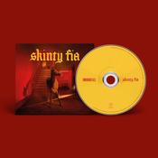 FONTAINES D.C - Skinty Fia image