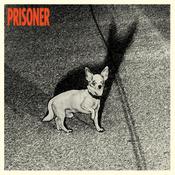 PRISONER - Prisoner image