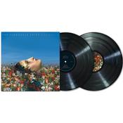 The Pineapple Thief - Magnolia (2025 Mix) image
