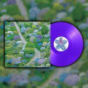 FIDDLEHEAD - Between the Richness image
