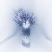 CD GHOST - When The Rain Stops image