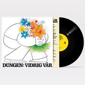 Dungen - Vidrig Var image
