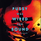 Robert Johnson And Punchdrunks - Pussy Was Wired for Sound image