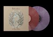 Laura Gibson - Beasts of Seasons image