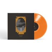 Steve Gunn - Sundowner image