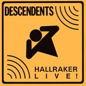 DESCENDENTS - Hallraker - LP - Vinyl image