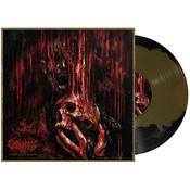 Carnifex - More Than Misery image
