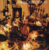 Israel Vibration - IV image