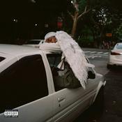 BLOOD ORANGE - NEGRO SWAN image