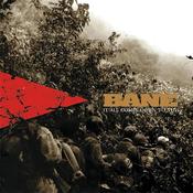 BANE - It All Comes Down To This - 25th Anniversary (Remix/Remaster) - LP - Semi-Opaque Violet Vinyl [NOV 22] image