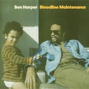 BEN HARPER - Bloodline Maintenance image