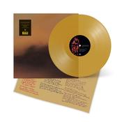THE BESNARD LAKES - The Besnard Lakes Are The Ghost Nation (with Poster, Hand-Numbered)- LP image