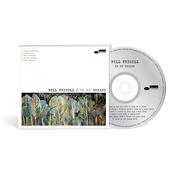 BILL FRISELL - In My Dreams image