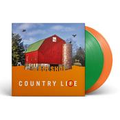 THE BOLSHOI - Country Life - 2LP - Green / Orange Vinyl [MAY 3] image