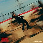 BRADLEY SIMPSON - The Panic Years - LP - Black Vinyl [FEB 28] image