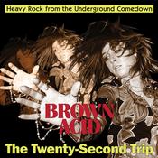 VARIOUS - Brown Acid: The Twenty-Second Trip - Second Trip - LP - Random Colour Vinyl image