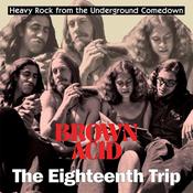 VARIOUS - Brown Acid: The Eighteenth Trip - LP - Random Colour Vinyl [MAY 31] image