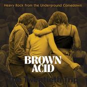 VARIOUS - Brown Acid: The Twentieth Trip - LP - Mystery Colour Vinyl image