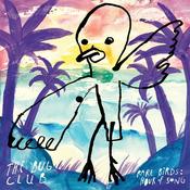 THE BUG CLUB - Rare Birds: Hour Of Song (Repress) - 2LP - Vinyl [OCT 4] image