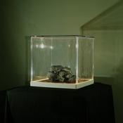 Trá Pháidín - Cloch 's Claí (CD) image