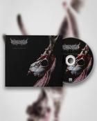 Mental Cruelty - Echoes of a Forlorn Land image