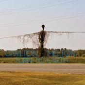 CARLTON MELTON - Turn To Earth - 2LP - Black Vinyl [OCT 6] image