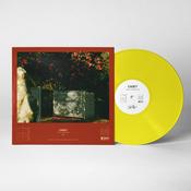 CASEY - How To Disappear - LP - Transparent Yellow Vinyl image