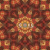 COIL - Stolen &amp; Contaminated Songs image