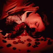 COMING UP ROSES - How Did We Fall So Far? image