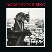 CURRENT 93 - Dogs Blood Rising (Remastered) - LP - Vinyl image