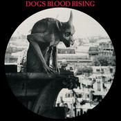 CURRENT 93 - Dogs Blood Rising (Reissue) - LP - Picture Disc Vinyl [AUG 30] image