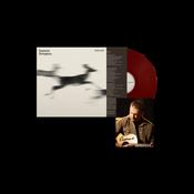 DAMIEN DEMPSEY - Holywell